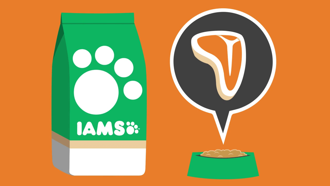 IAMS Featured Image